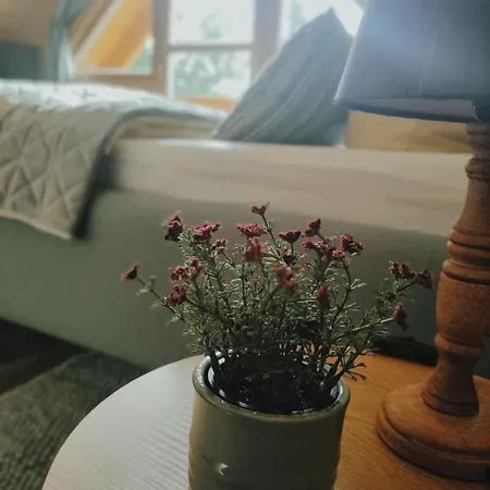 Nyaraló Birkholz Harz *