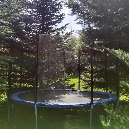 Birkholz Harz Ilsenburg