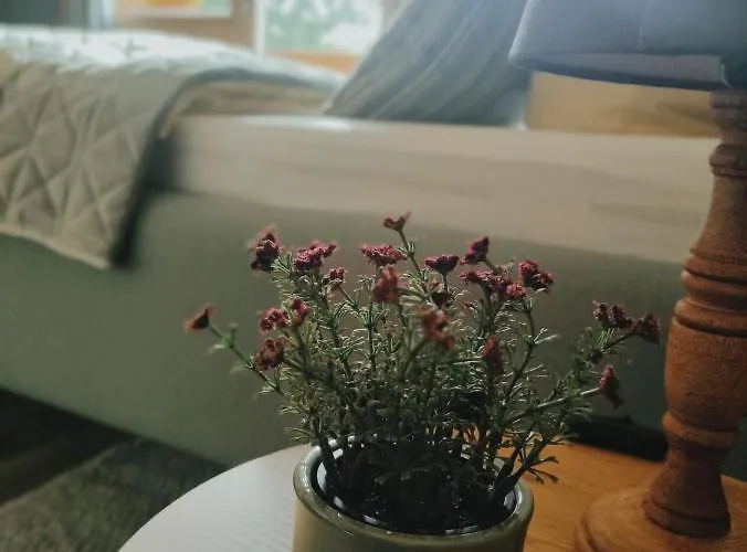 بيت للعطل Birkholz Harz *