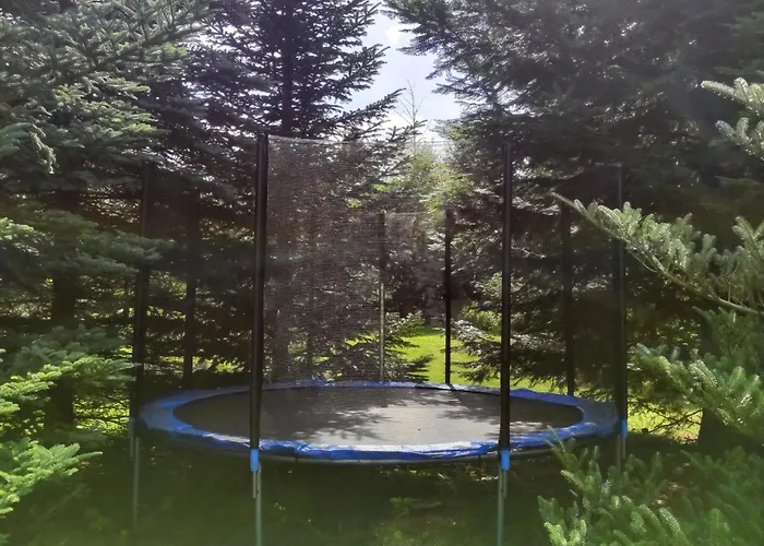 Birkholz Harz Ilsenburg